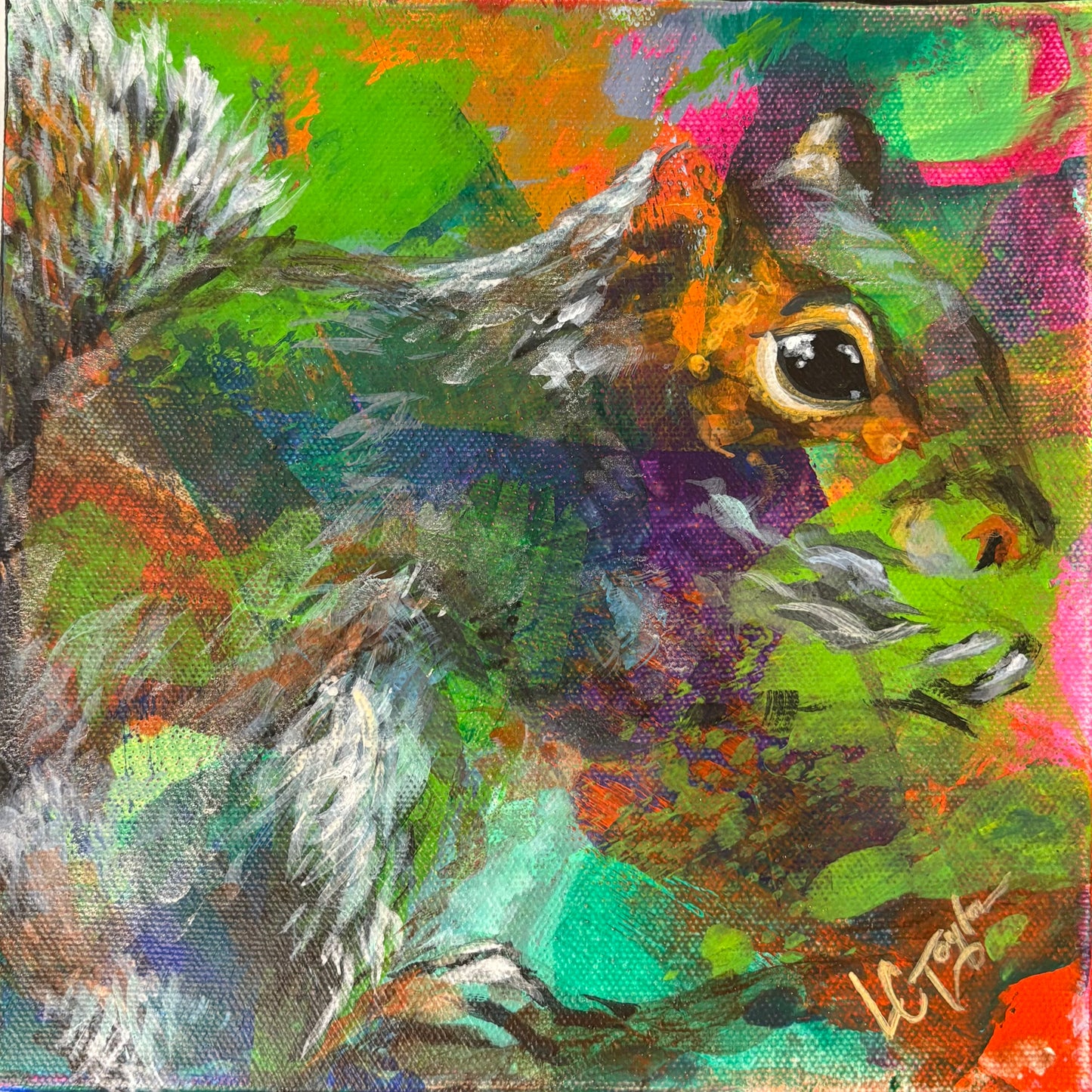 Squirrel