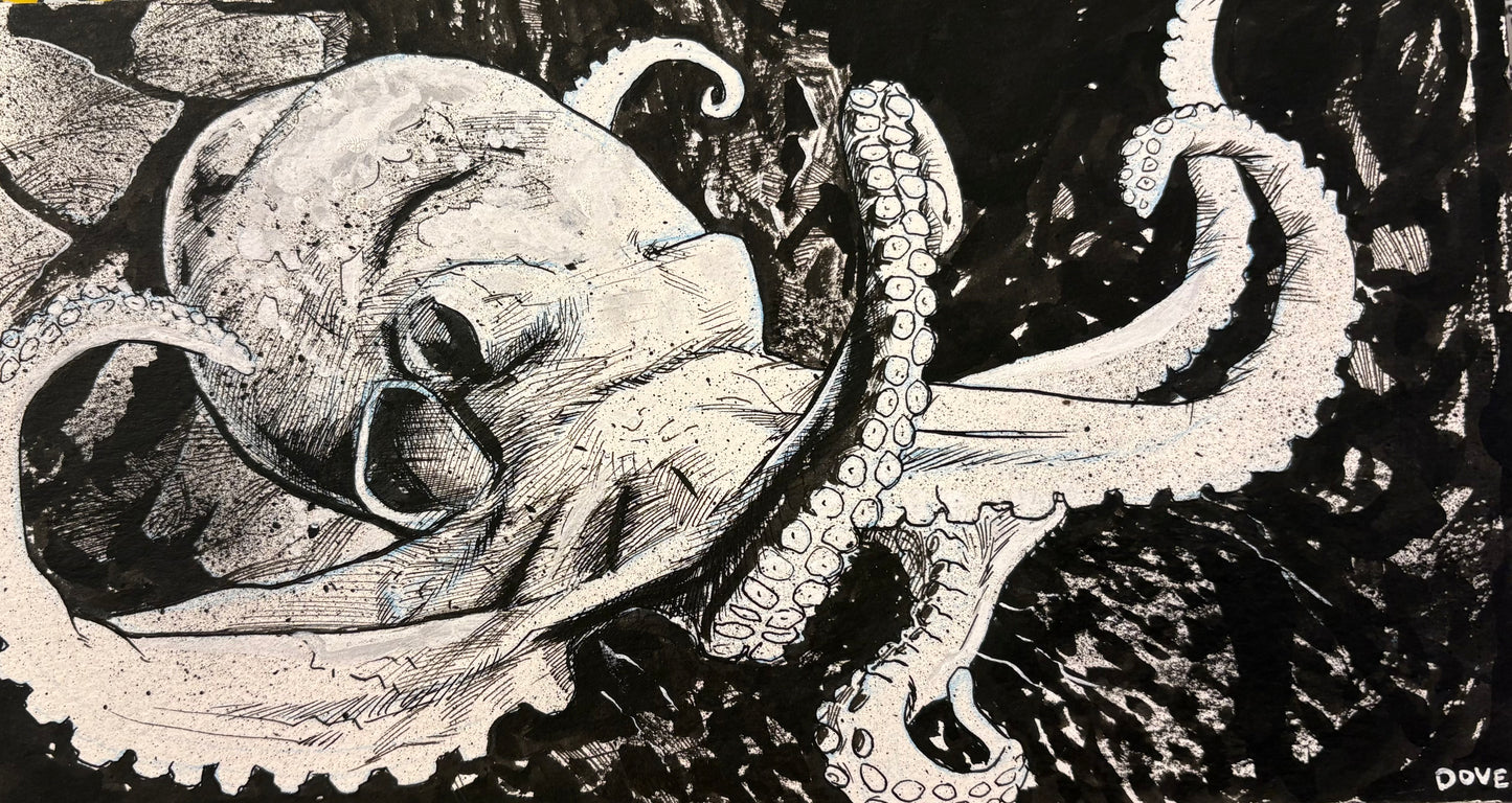 Black N White Octopus