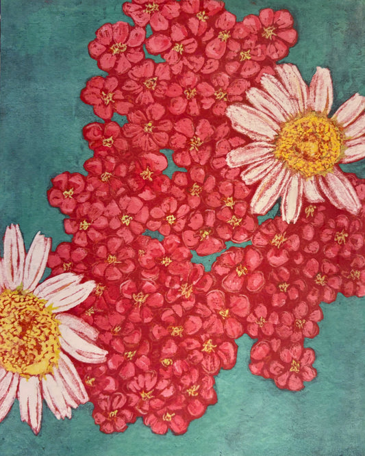 Blushing Yarrow