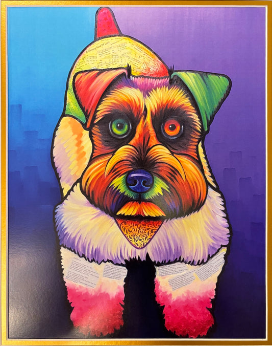 Donatella (mini schnauzer)