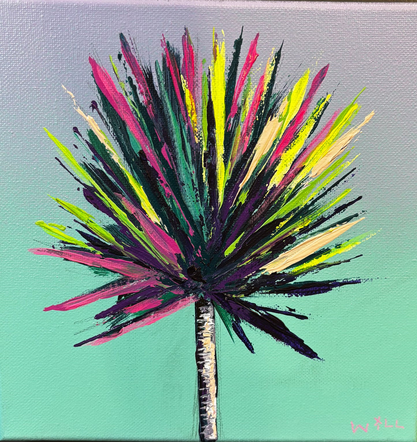 Yucca