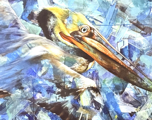 Pelican