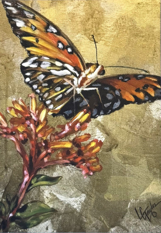 Butterfly