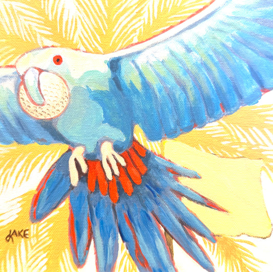 A Birdie