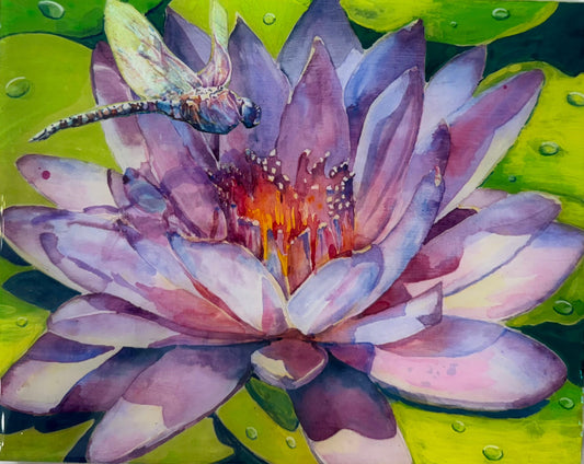 Lotus Dream