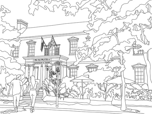 Pink House