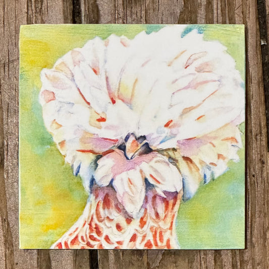 Clarabelle