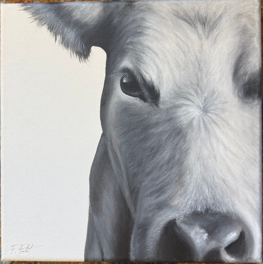 Cowlick