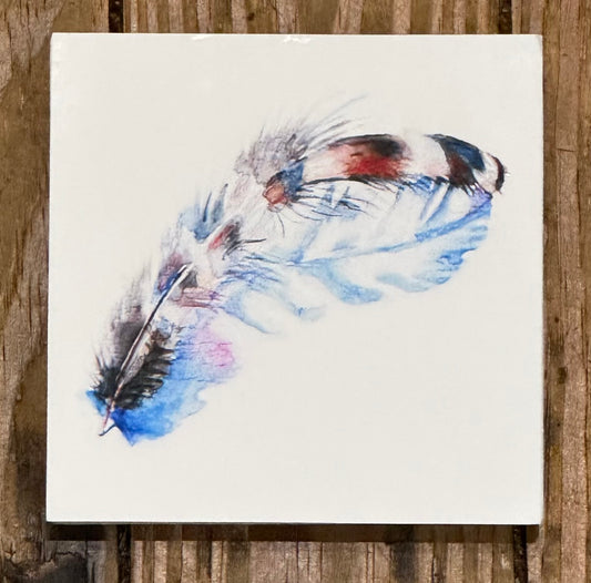 Feather