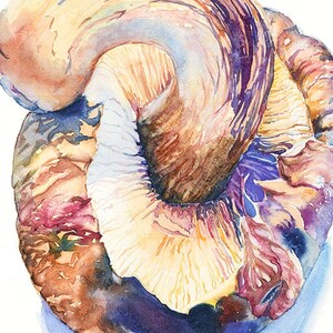Fiery Shiitake